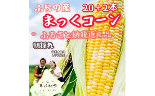 ＜先行受付＞＜8月より順次発送＞北海道　富良野産　まっくコーン(スイートコーン)20本+2本付き!【1458330】
