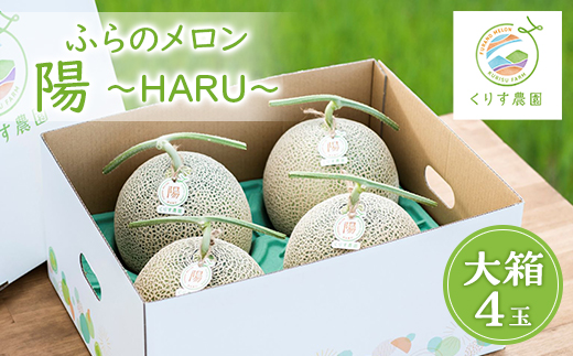 ＜2026年発送＞ふらのメロン「陽 ～HARU～」大箱 8kg以上(大玉×4玉)(赤肉)富良野メロン【1478651】