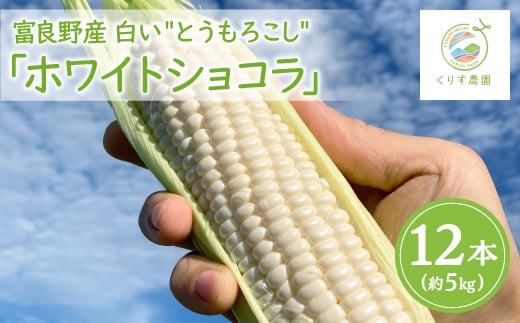 ＜2026年発送＞北海道富良野産白いとうもろこし「ホワイトショコラ」12本(約5kg)【1576599】