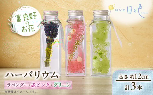 <ギフト>富良野のお花 ハーバリウム 3本セット(ラベンダー、赤ピンク・グリーン)【1552142】