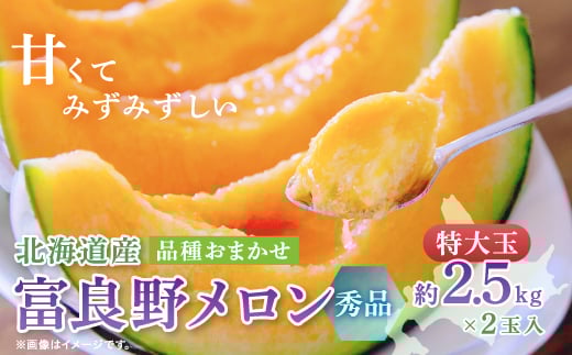 ＜2026年発送　先行受付＞富良野メロン(赤肉) 秀品2玉 計5kg～_メロン 富良野 北海道 ふらのメロン 赤肉 2玉 フルーツ 果物 くだもの 人気 おすすめ 送料無料 贈答 ギフト【1614059】