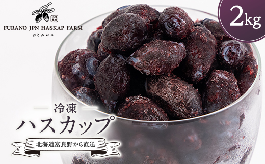 冷凍ハスカップ 2kg_ ハスカップ 果物 フルーツ ベリー くだもの 冷凍 新鮮 農家直送 北海道 富良野 人気 おすすめ 送料無料 【1617009】