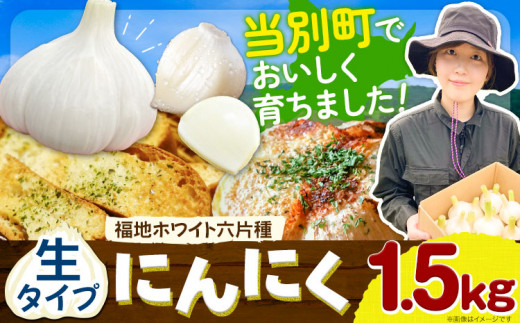【令和8年先行受付】生にんにく(福地ホワイト六片種)1.5kg(15個~25個程度)《2026年6月上旬-7月下旬頃出荷予定》 にんにく ニンニク 生にんにく 国産にんにく 北海道にんにく