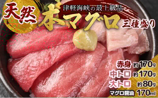 天然本マグロ三種盛り  MATB002