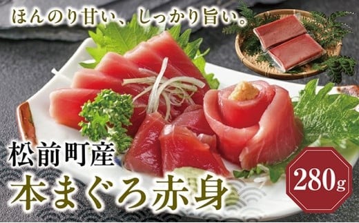 超低温冷凍 松前町産本まぐろ赤身  280ｇ  MATK024