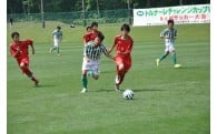 2.学術・文化・芸術・スポーツの振興を図る事業