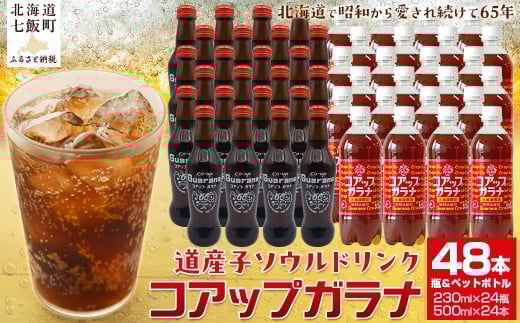 コアップガラナ48本セット 道産子ソウルドリンク！ファンに大人気！ ふるさと納税 人気 おすすめ ランキング コアップガラナ ガラナ 道産子ソウルドリンク 北海道代表 ご当地 北海道 七飯町 送料無料 NAQ001