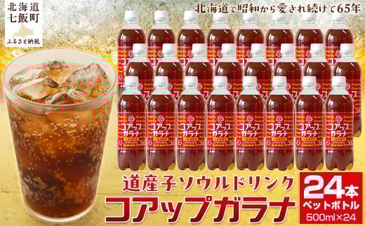 コアップガラナ24本セット(500mlペットボトル) ふるさと納税 人気 おすすめ ランキング コアップガラナ ガラナ 道産子ソウルドリンク 北海道代表 ご当地 北海道 七飯町 送料無料 NAQ003