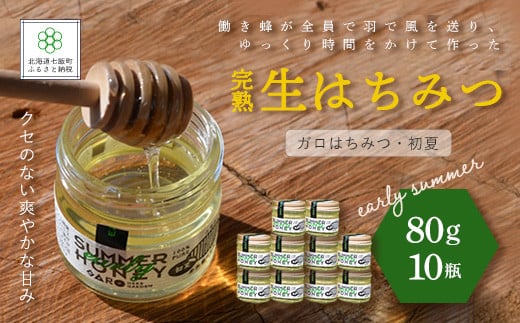 完熟生はちみつ ガロはちみつ・初夏(アカシア)(80g)10瓶セット お料理にも使える ふるさと納税 人気 おすすめ ランキング はちみつ ガロはちみつ 初夏 アカシア 完熟 生はちみつ 北海道 七飯町 送料無料 NAAB008
