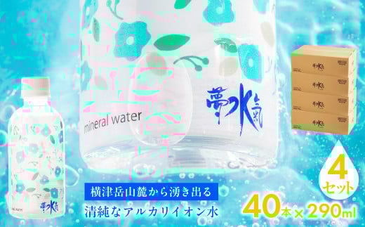 ミネラルウォーター夢水氣（290ml×40本）4セット 天然アルカリイオン水 軟水 【ふるさと納税 人気 おすすめ ランキング 天然アルカリイオン水 天然水 ミネラルウォーター 横津岳山麓 北海道 七飯町 送料無料】 NABI006