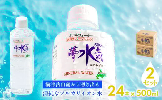 ミネラルウォーター夢水氣（500ml×24本）2セット 天然アルカリイオン水 軟水 【ふるさと納税 人気 おすすめ ランキング 天然アルカリイオン水 天然水 ミネラルウォーター 横津岳山麓 北海道 七飯町 送料無料】 NABI008