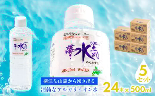 ミネラルウォーター夢水氣（500ml×24本）5セット 天然アルカリイオン水 軟水 【ふるさと納税 人気 おすすめ ランキング 天然アルカリイオン水 天然水 ミネラルウォーター 横津岳山麓 北海道 七飯町 送料無料】 NABI011