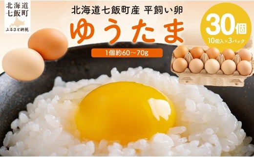 ゆうたま 【 ふるさと納税 人気 おすすめ ランキング 卵 たまご タマゴ 卵かけごはん 卵焼き オムライス 鶏 おいしい 北海道 七飯町 送料無料 】 NABA001