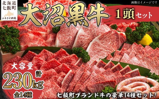 大沼黒牛 1頭 【ふるさと納税 人気 おすすめ ランキング 北海道ブランド牛 大沼黒牛 黒毛和牛 冷凍 ステーキ すき焼き しゃぶしゃぶ 牛丼 焼肉 挽肉 おいしい 北海道 七飯町】 NAM009