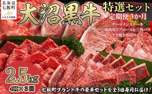 定期便セット定期3カ月 大沼黒牛の特選セット 【 ふるさと納税 人気 おすすめ ランキング 北海道ブランド牛 大沼黒牛 黒毛和牛 サーロイン リブロース 焼肉 肩ロース おいしい 北海道 七飯町 送料無料 】 NAM059