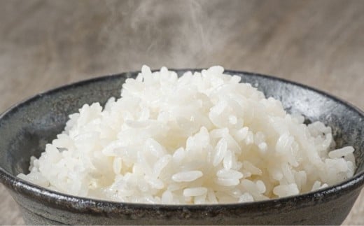 【令和7年産】ゆめぴりか 5kg 小田切清志農園（2025年10月下旬より発送） 【 ふるさと納税 人気 おすすめ ランキング 米 こめ コメ ゆめぴりか 北海道産 ご飯 白米 おにぎり 北海道 七飯町 送料無料 】 NABJ001