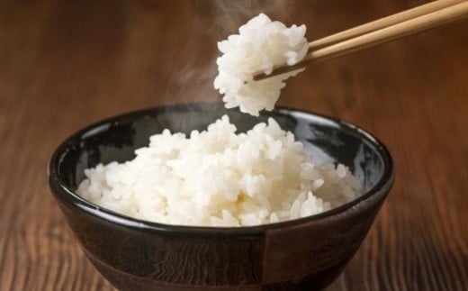 【令和7年産】ふっくりんこ10kg 小田切清志農園（2025年10月下旬より発送） 【ふるさと納税 人気 おすすめ ランキング 米 こめ コメ ふっくりんこ 北海道産 ご飯 白米 おにぎり 北海道 七飯町 送料無料】 NABJ004