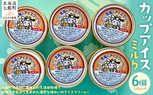 カップアイス　ミルク 120ml×6個 【 ふるさと納税 人気 おすすめ ランキング アイスクリーム アイス あいす ミルク みるく セット おいしい 北海道 七飯町 送料無料 】 NAP006