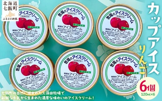 カップアイス　りんご 120ml×6個 【 ふるさと納税 人気 おすすめ ランキング アイスクリーム アイス あいす りんご リンゴ 林檎 セット おいしい 北海道 七飯町 送料無料 】 NAP007