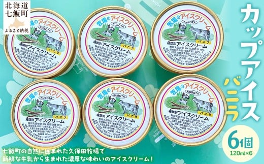 カップアイス バニラ 120ml×6個 【 ふるさと納税 人気 おすすめ ランキング アイスクリーム アイス あいす バニラ ばにら セット おいしい 北海道 七飯町 送料無料 】 NAP008