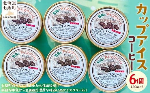 アイスクリーム　コーヒー 120ml×6個 【 ふるさと納税 人気 おすすめ ランキング アイスクリーム アイス あいす コーヒー こーひー セット おいしい 北海道 七飯町 送料無料 】 NAP010