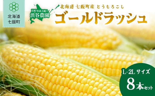 北海道七飯町産 とうもろこし「ゴールドラッシュ」(L-2Lサイズ) 8本セット (令和8年8月上旬より順次発送)  【ふるさと納税 人気 ランキング とうもろこし ゴールドラッシュ コーン 8本 セット 北海道 七飯町 送料無料】 NABT006