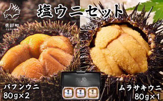 塩うにギフトセット 計240g バフンウニ×2パック ムラサキウニ×1パック ミョウバン不使用 塩蔵うに 北海道 ご飯のお供