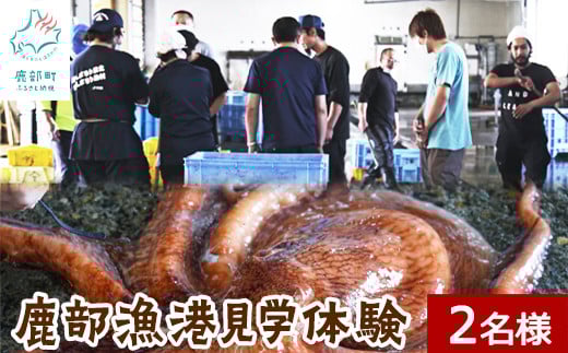 鹿部漁港見学体験 2名様分 道の駅しかべ間歇泉公園 入園券付 旅行 観光 体験