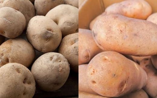 【2025年9月下旬より発送】厚沢部産 メークイン約2.5kgとキタアカリ約2.5kgセット 計約5kg【L・2Lサイズ】 【 ふるさと納税 人気 おすすめ ランキング じゃがいも ジャガイモ メークイン キタアカリ カレー コロッケ 煮物 じゃがバター ポテトサラダ 甘い 北海道 厚沢部 送料無料 】 ASO037