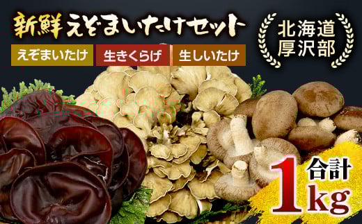 北海道厚沢部町産　新鮮えぞまいたけセット 【 ふるさと納税 人気 おすすめ ランキング えぞまいたけ まいたけ 舞茸 マイタケ きくらげ キクラゲ しいたけ 椎茸 椎茸 旨味 おいしい 歯ごたえ 北海道 厚沢部 送料無料 】 ASM004
