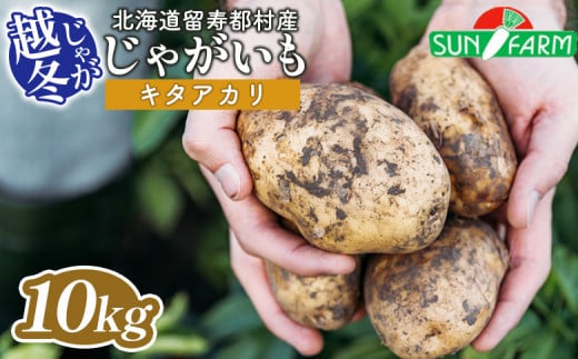 越冬じゃがいも キタアカリ 10kg いも おいも 芋 イモ ジャガイモ ポテト きたあかり オンライン 申請 ふるさと納税 北海道 留寿都 野菜 根菜 ホクホク 産地直送 新鮮 採れたて ポテトサラダ コロッケ スープ 10キロ 留寿都村[24021]