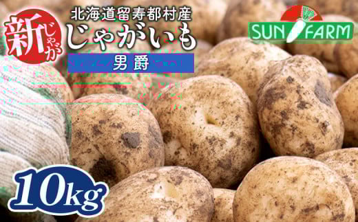 新じゃがいも 男爵 10kg いも おいも 芋 イモ ジャガイモ ポテト だんしゃく オンライン 申請 ふるさと納税 北海道 留寿都 野菜 根菜 産地直送 新鮮 採れたて ポテトサラダ コロッケ マッシュポテト 10キロ 留寿都村