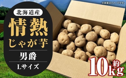 【先行受付】北海道産 情熱じゃが芋（男爵） Lサイズ 計約10kg 株式会社マルエイ商事 じゃがいも じゃが芋 ジャガイモ 芋 いも イモ 国産【2025年10月上旬～2025年12月上旬迄発送予定】