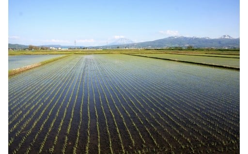 その他町政の推進のために