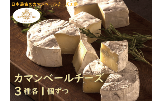【クレイル特製】カマンベールチーズ 3種 セット