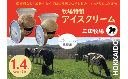 ミタアイス業務用2個入りセット アイス 三田牧場 1.4L 自家製ミルク 1個＋ラムレーズン 1個