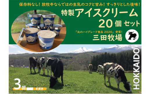 【3ヵ月定期便】アイス 三田牧場 特製 アイスクリーム 20個セット ミルク チョコレート いちごみるく ラムレーズン 抹茶