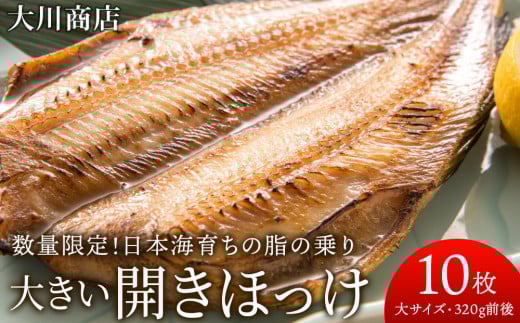 大きい開きほっけ10枚セット<大川商店>
