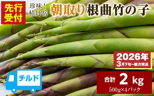 【先行予約開始!】2026年発送★積丹産珍味積丹岳根曲竹の子2kg(500g×4パック)