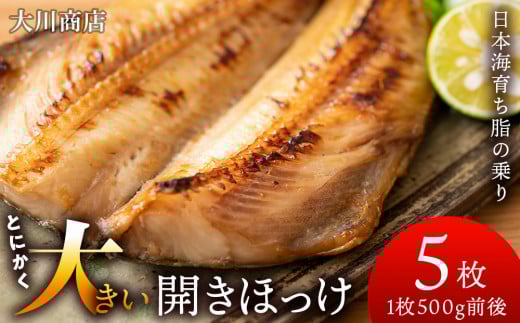とにかく大きい開きほっけ 5枚<大川商店>