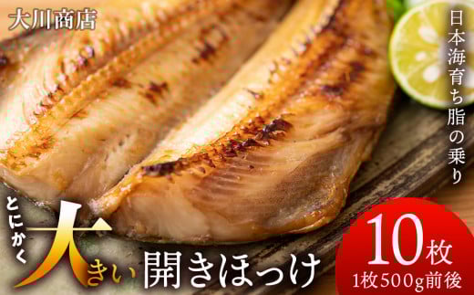 とにかく大きい 開きほっけ 10枚 セット < 大川商店 > ホッケ ほっけ 魚 北海道 干物 冷凍 北海道産