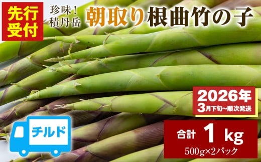 【先行予約開始!】2026年発送★積丹珍味積丹岳根曲竹の子1kg(500g×2パック)