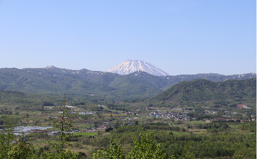 村にお任せ
