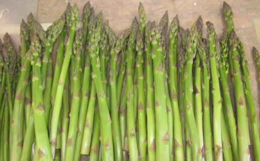1.【不揃いグリーン６ｋｇ】新見ファームの有機アスパラ：配送５月中旬～