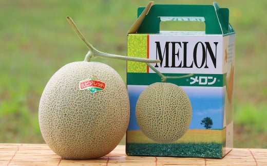 （ティアラ）【１玉入】やなぎさわ農園の甘い赤肉メロン