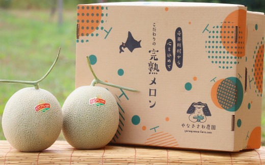 （クレセント）【４～６玉入】やなぎさわ農園の甘い青肉メロン