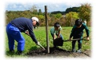 2．ふるさとの自然や環境を守る活動