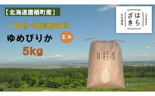 【令和7年産】一等米・特別栽培米 5kg【ゆめぴりか玄米】5kg×1（農薬7割減）北海道 鷹栖町 原崎農園