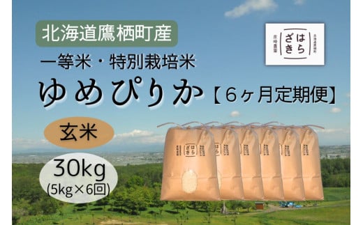 F023 6ヶ月定期便 【令和7年産】一等米・特別栽培米30kg【ゆめぴりか玄米】5kg×6ヶ月(農薬7割減)北海道 鷹栖町 原崎農園