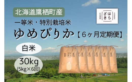 F024 6ヶ月定期便 【令和7年産】一等米・特別栽培米 30kg【ゆめぴりか白米】5kg×6ヶ月(農薬7割減)北海道 鷹栖町 原崎農園